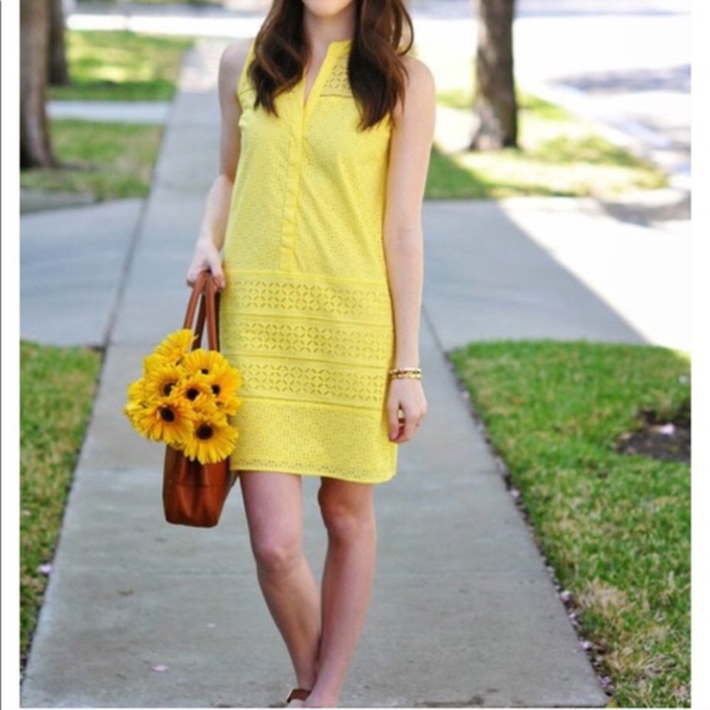 Ann Taylor LOFT Yellow Eyelet Sun Dress
